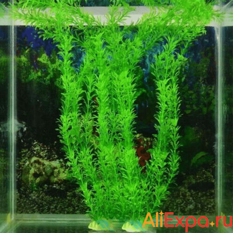 Искусственное растение для аквариума купить на Алиэкспресс